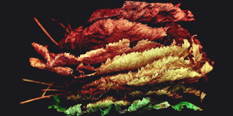 Denali Flight Tour Discounts and Deals: Your Ultimate Guide to Smart Air Travel Booking