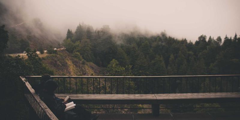 Denali Flights 10：解锁最佳航班优惠与机票预订的终极指南