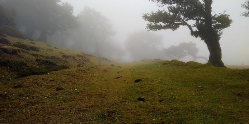 Denali Flights30:解锁终极阿拉斯加探险的机票与度假套餐全攻略