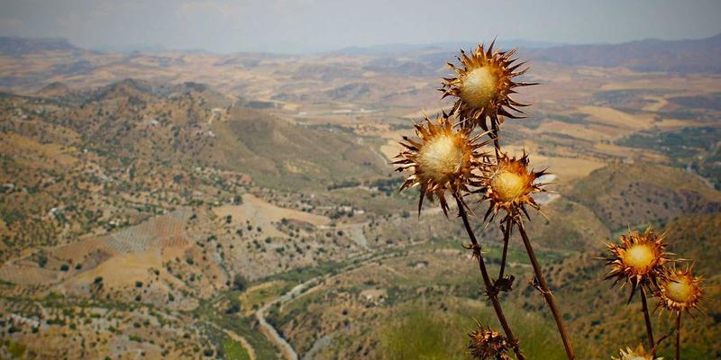 Denali Flights5:您的智能航空出行伙伴,让机票预订与空中旅行更简单