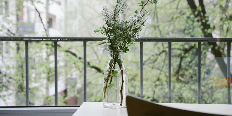 Denali Flights95：解锁极致飞行体验与超值机票攻略