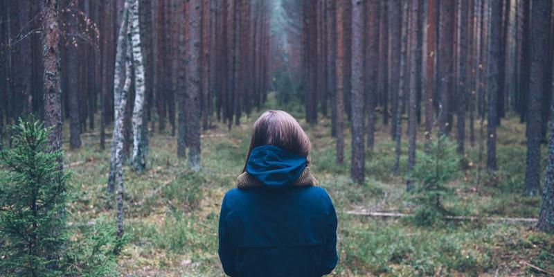 Denali Flights前景展望:机票优惠与航空旅行新趋势如何重塑极地探险