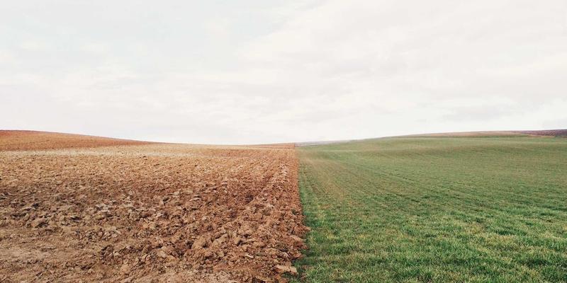 Denali Flights终极指南:解锁空中旅行最佳体验与超值机票攻略