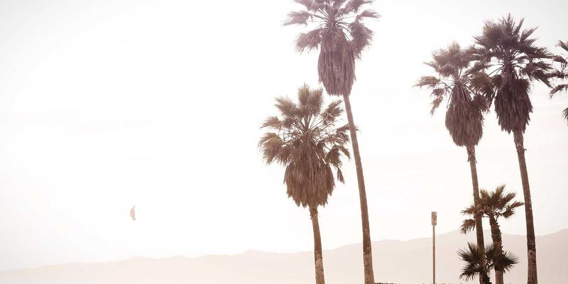 Denali Flights:规划您飞往阿拉斯加荒野的完美空中旅行