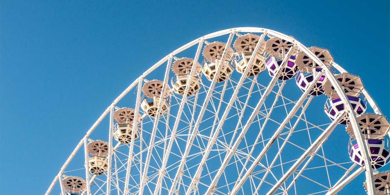 从空中发现荒野：预订德纳里航班，邂逅熊、驼鹿与驯鹿的终极假期套餐