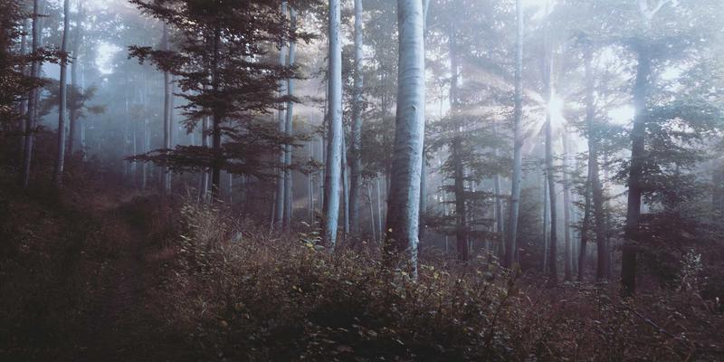 德纳里峰冰川着陆飞行体验全攻略：航班选择、行程套餐与安全指南