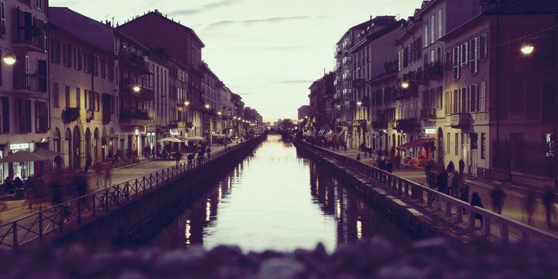 德纳里峰飞行观光终极指南：从空中寻找熊、驼鹿与驯鹿的空中野生动物观察
