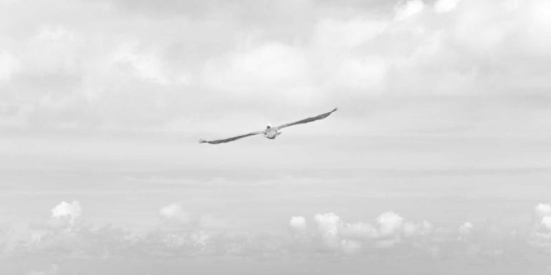 德纳里峰飞行观光避坑指南：揭秘Flight Deals背后的真实体验与期望管理