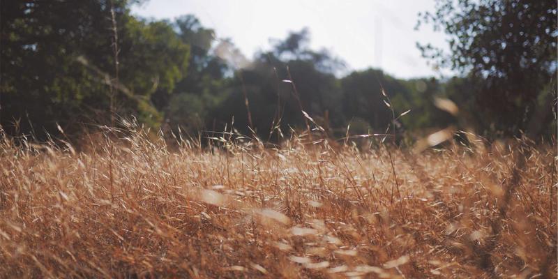 揭秘德纳里峰北侧飞行路线：震撼空中视角与超值Flight Deals指南