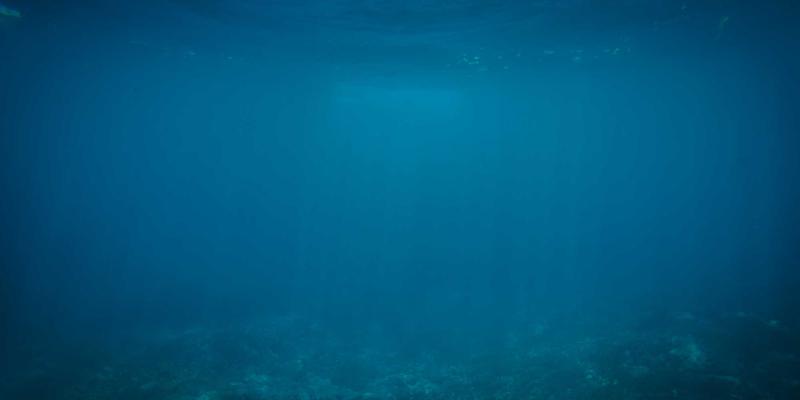 独行侠的空中奇遇：Denali飞行观光攻略与单人附加费节省技巧