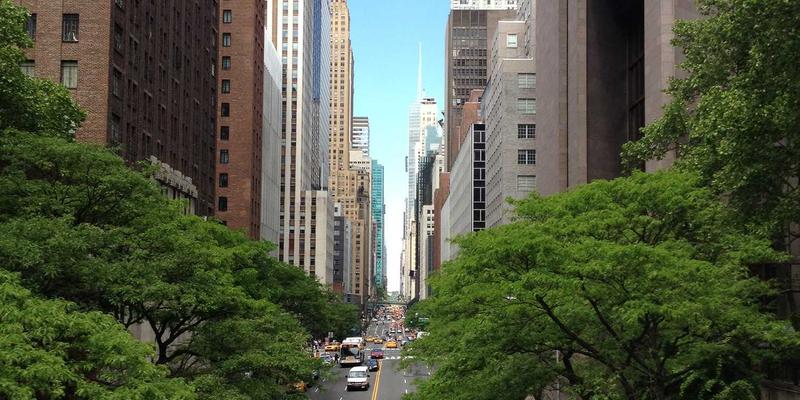 翱翔德纳里：如何选择可持续的飞行观光与旅行服务