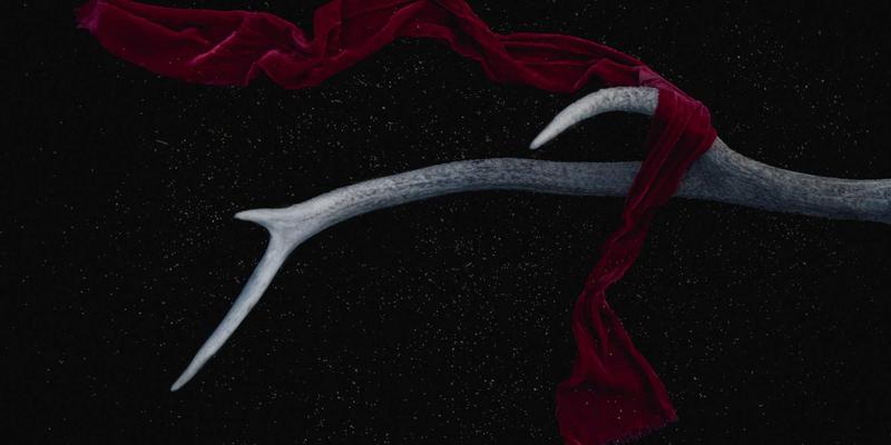 超越头等舱：预订终极空中旅行，体验丹纳利冰川直升机之旅与冰川野餐